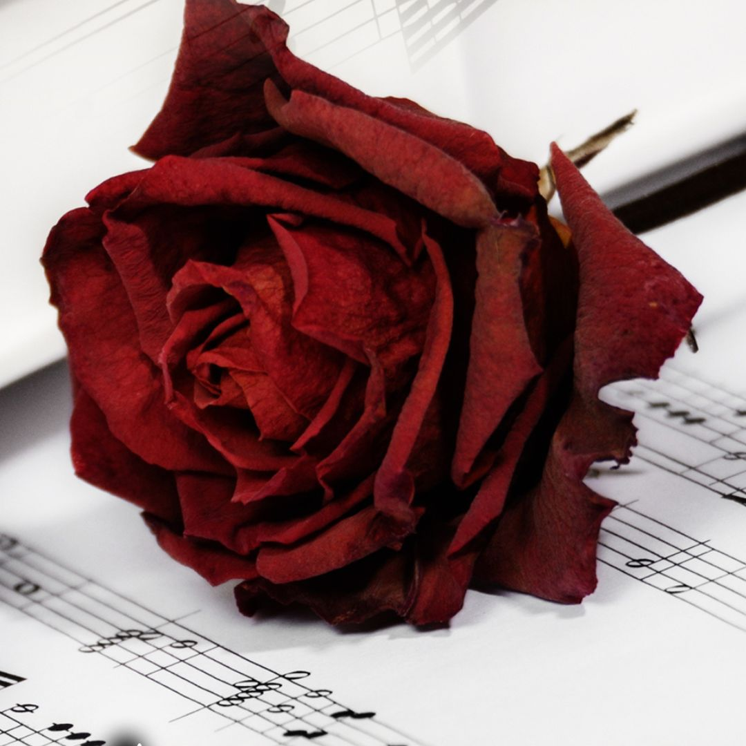 The Historical Fiction